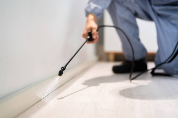 Licensed Fumigation Services service in Monroe County County, WV - Nex Pest Control